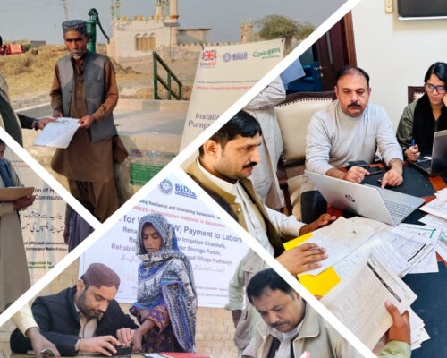 Social-Sector-Services